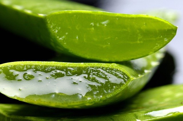 Aloe Vera Extract Application in Food Industry