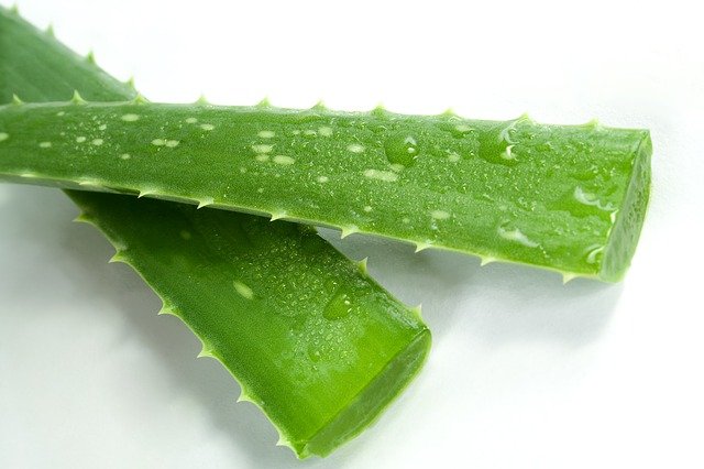 Aloe Vera Gel The Best Partner of Collagen Peptides
