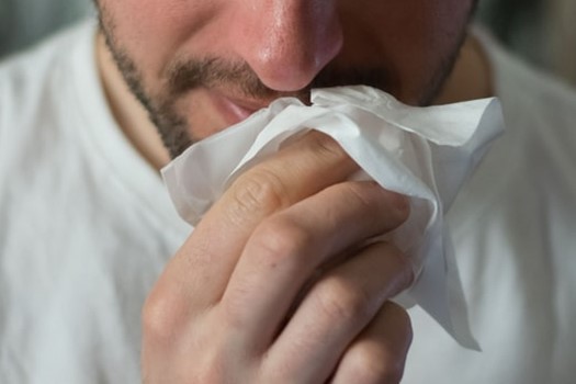 Natural Plant Extract Help Prevent Colds and Flu