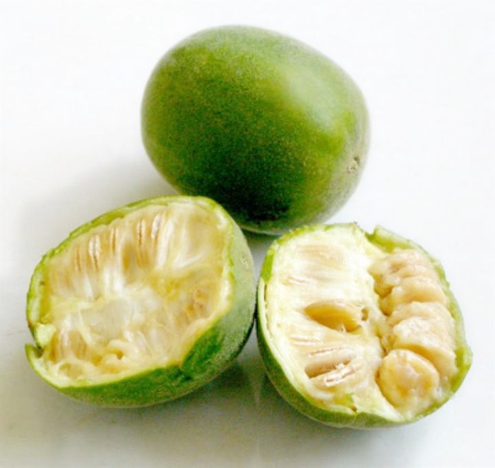 Monk Fruit Extract The New Favorite Of The Market