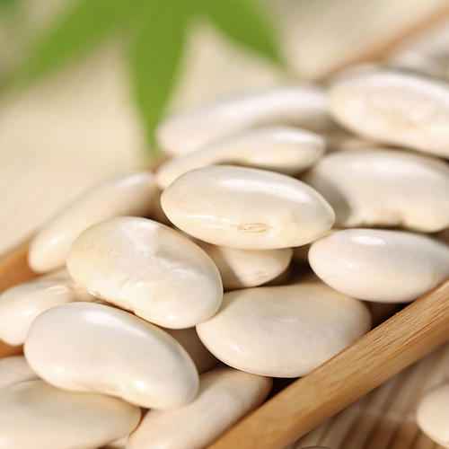 How to Lose Weight with White Kidney Bean Extract