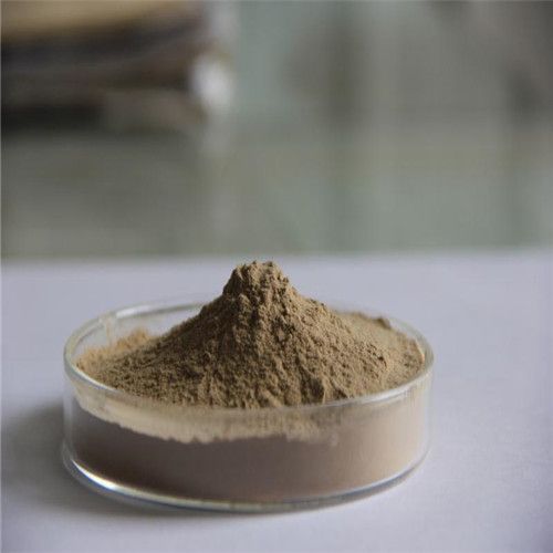 Kelp Extract Cosmetics Application