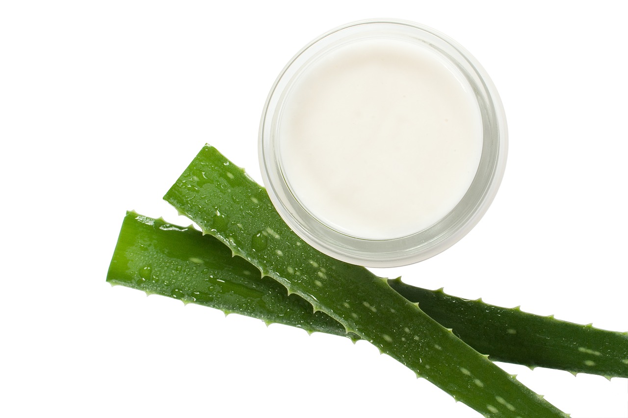 Plant Extracts Application in Anti-aging Cosmetics