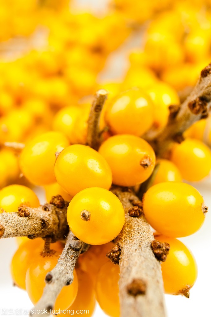 Seabuckthorn Oil Main Benefits