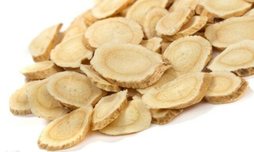 Astragalus Extract Health Care Benefits