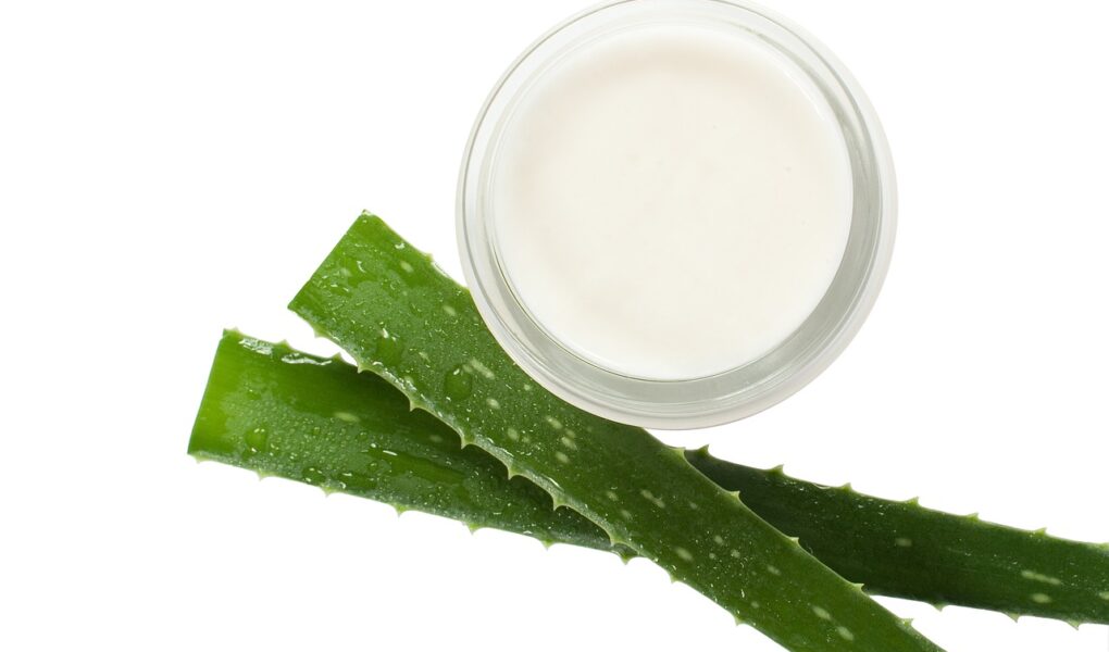 Plant Extracts Application in Anti-aging Cosmetics