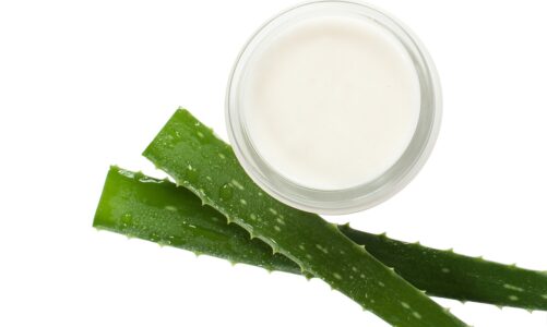 Plant Extracts Application in Anti-aging Cosmetics