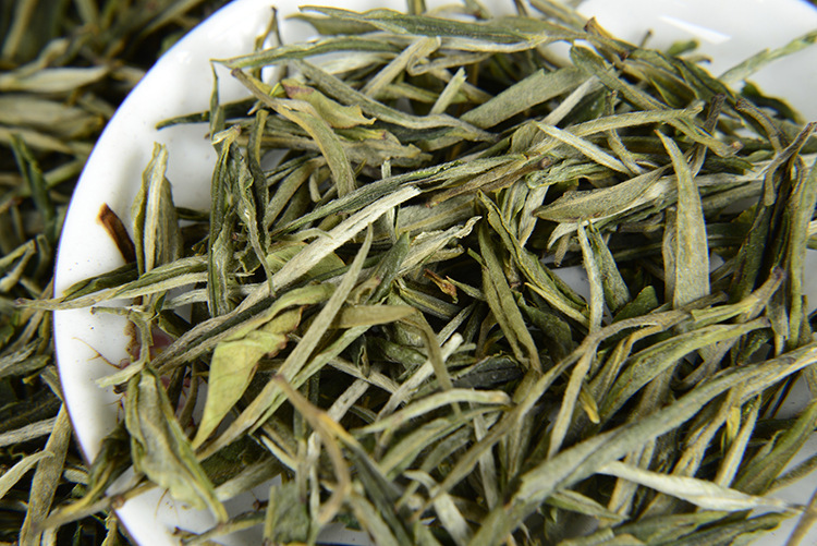Green Tea Extract Tea Polyphenols Health Benefits