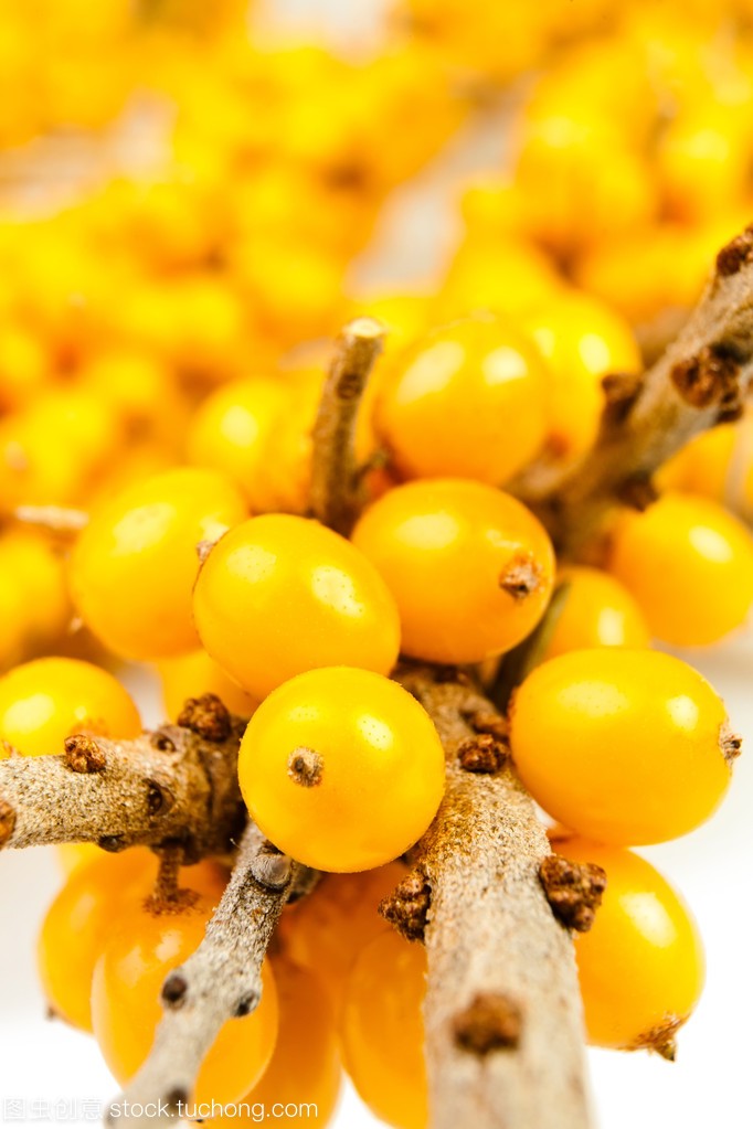 Seabuckthorn Oil Main Benefits - Pure Health Inside